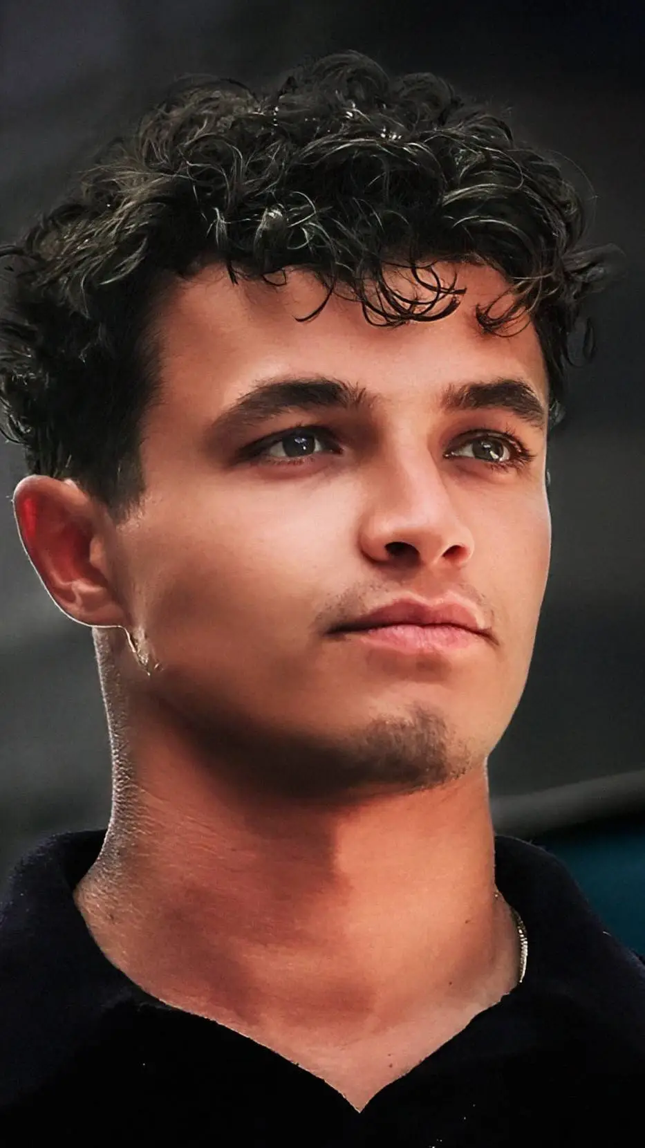 ai character: Lando Norris background