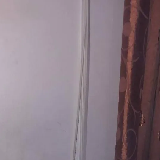 chat with ai character: Boa (Dog)