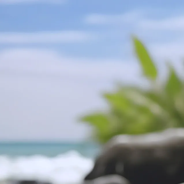 chat with ai character: mimi