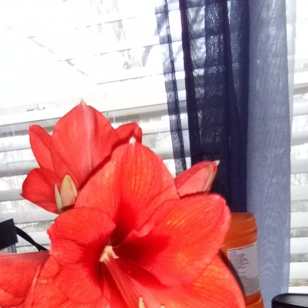 chat with ai character: Homegrown