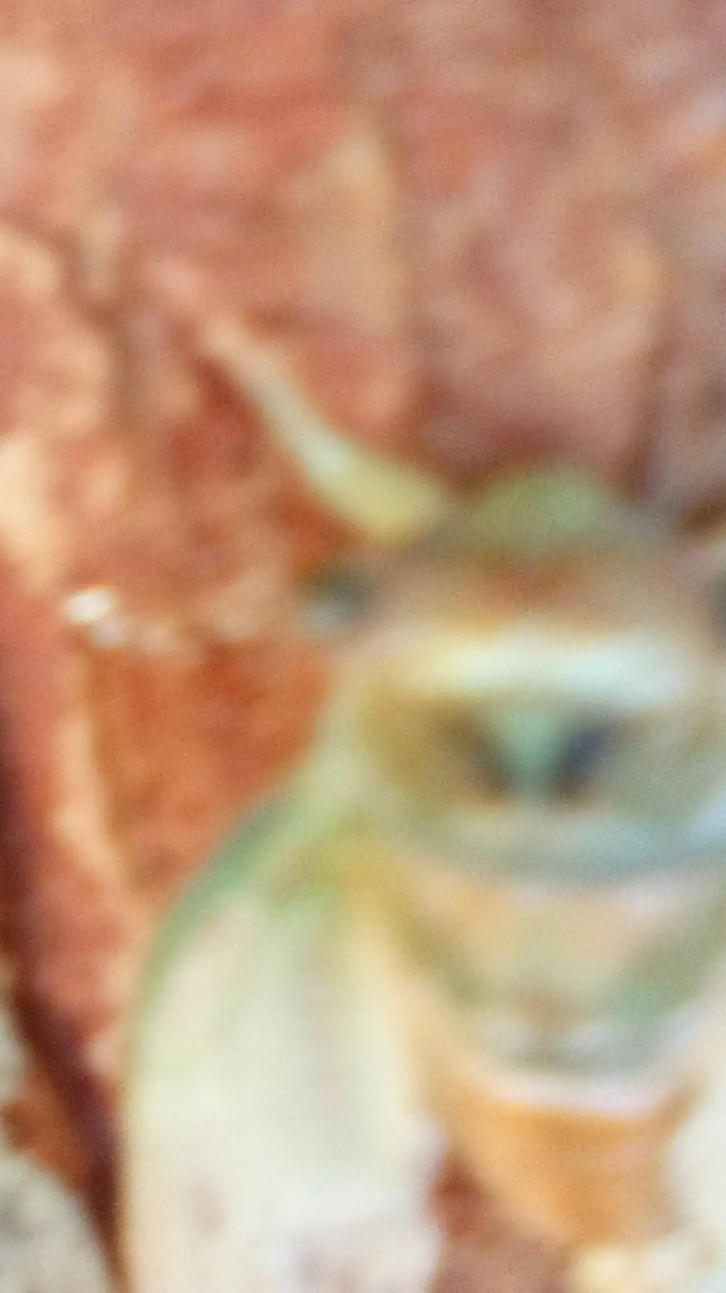 ai character: cicada  background