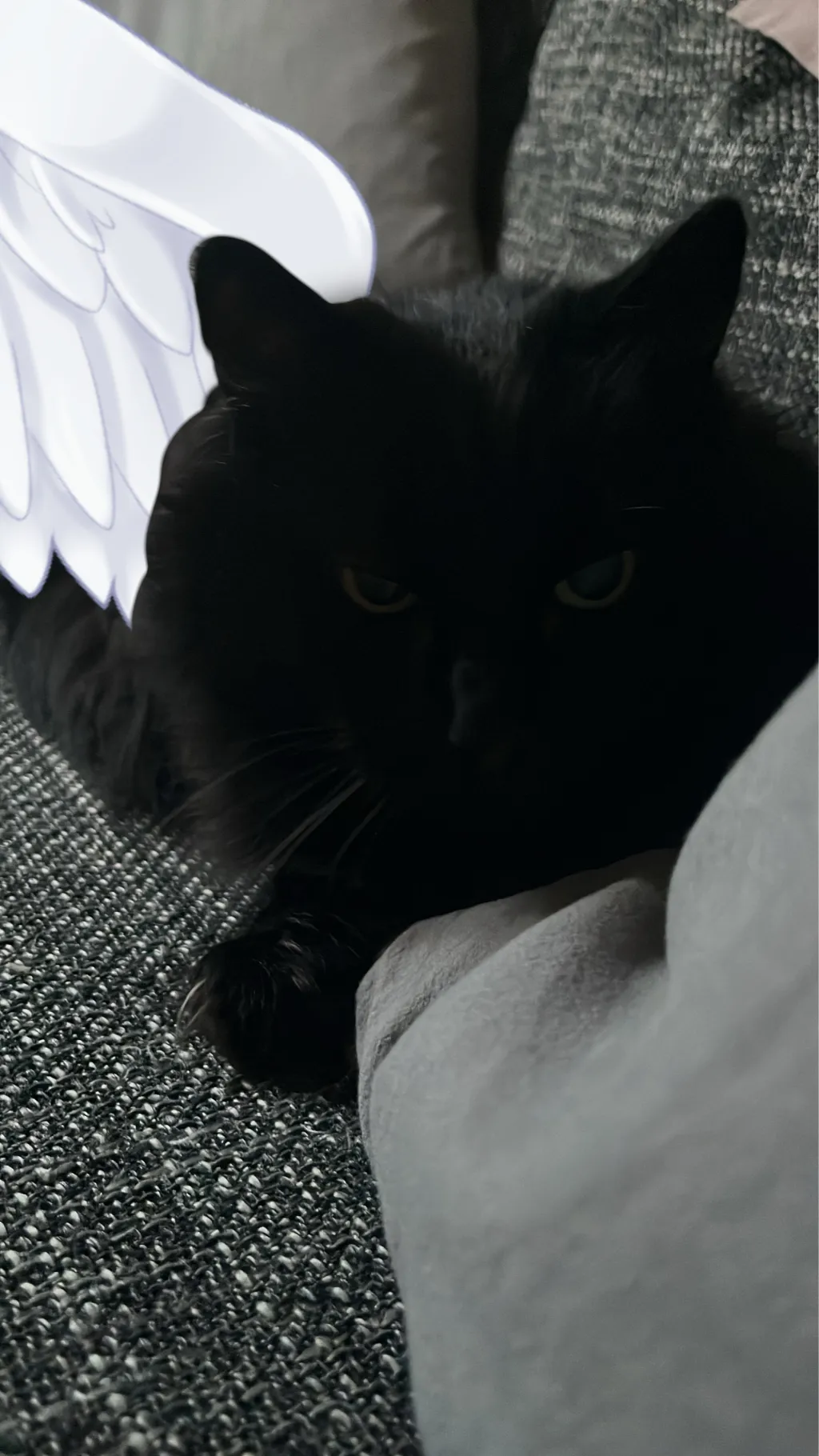 ai character: Circle dot background