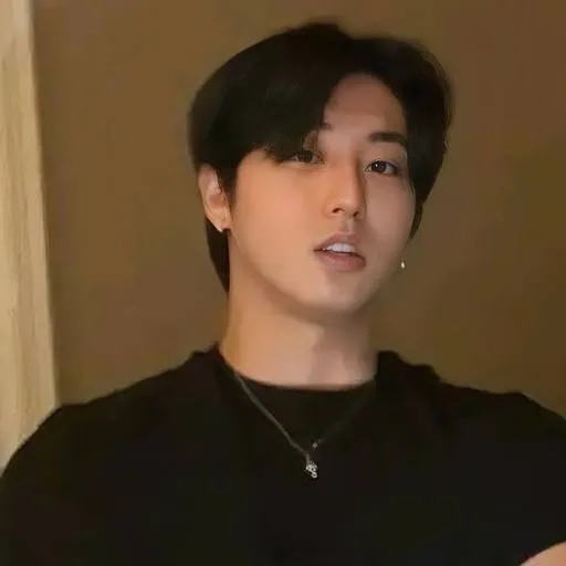 chat with ai character: Han Jisung