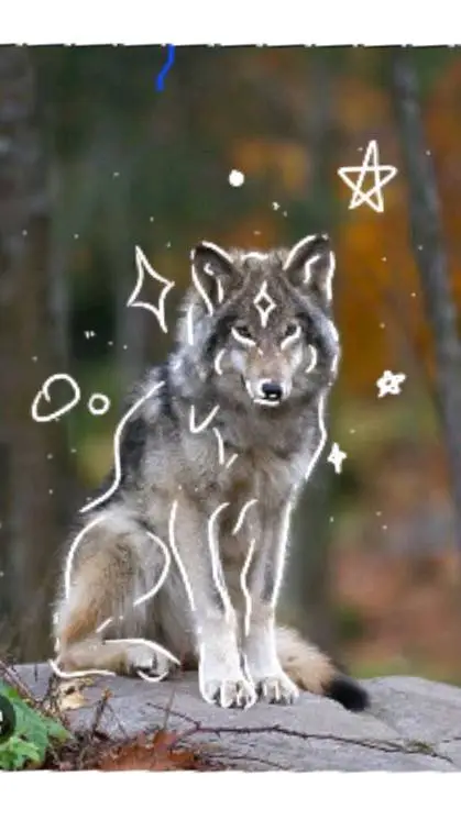 ai character: luna background