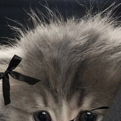 chat with ai character: mini (՞  ܸ. .ܸ՞)︎♡