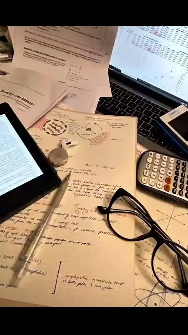 ai character: "You're SchoolHw😭" background
