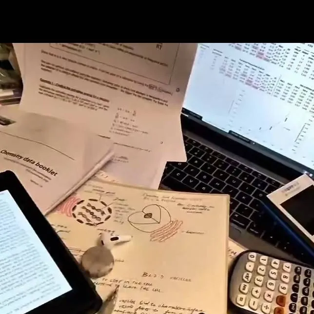 chat with ai character: "You're SchoolHw😭"