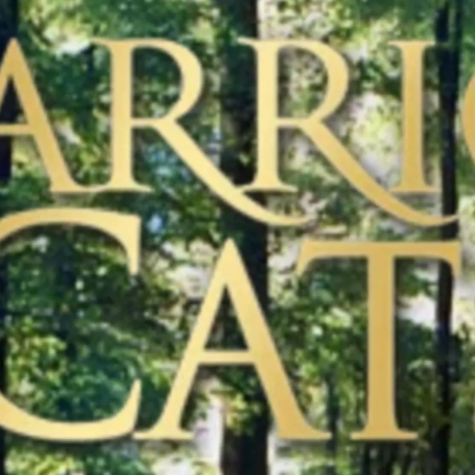 chat with ai character: Warrior cats