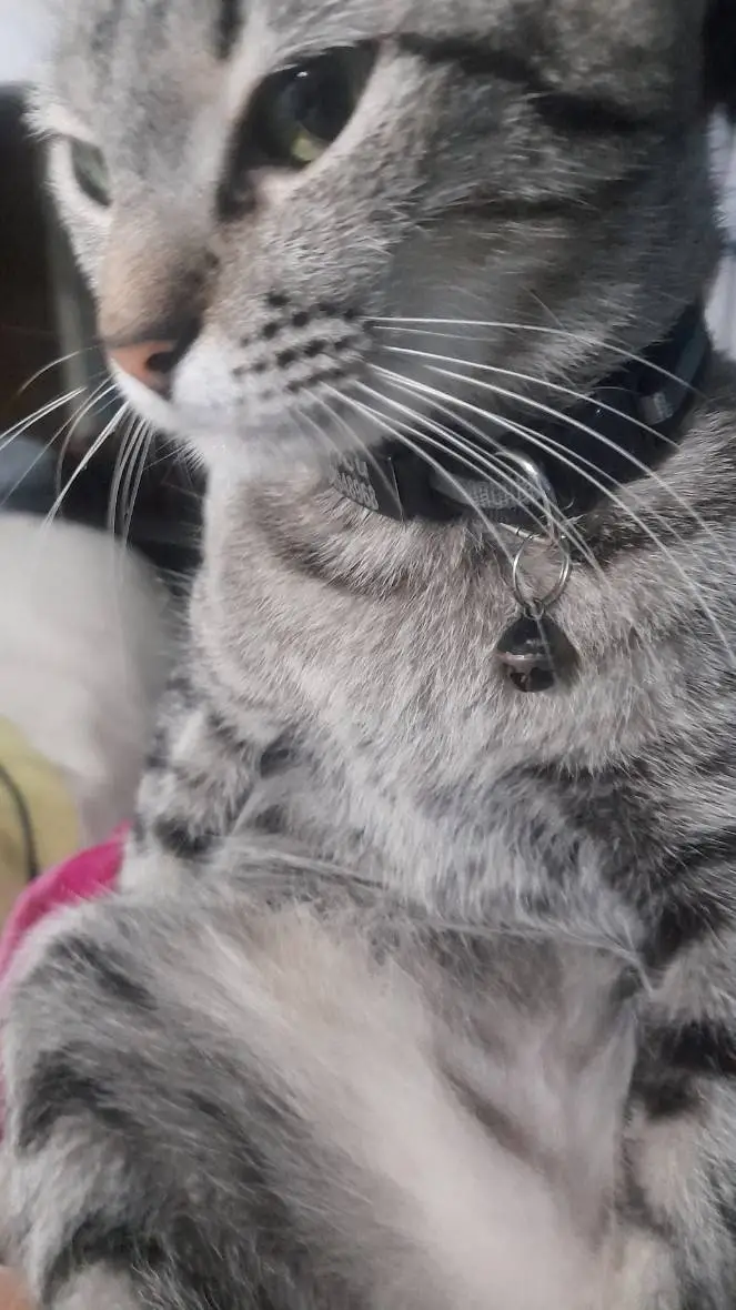 ai character: Yeopbu background