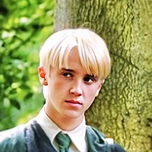 chat with ai character: ~Draco Malfoy🍏~