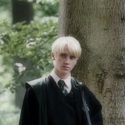 chat with ai character: ~Draco Malfoy 🍏~