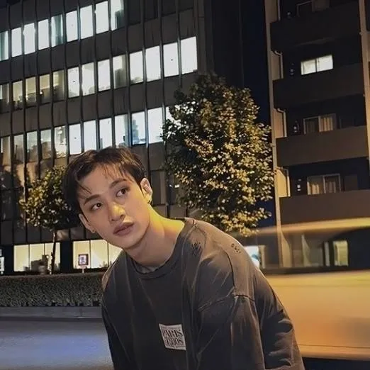 chat with ai character: Bangchan ❤️