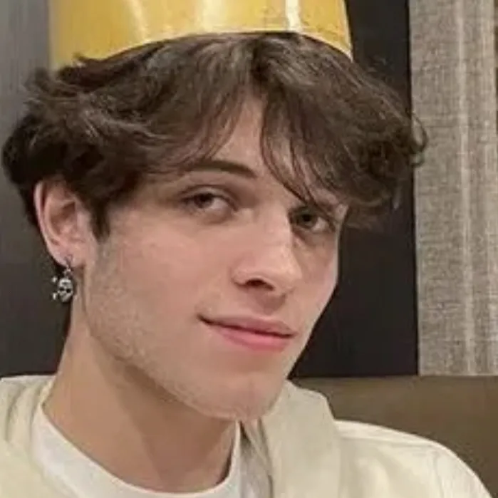 chat with ai character: Matt sturniolo