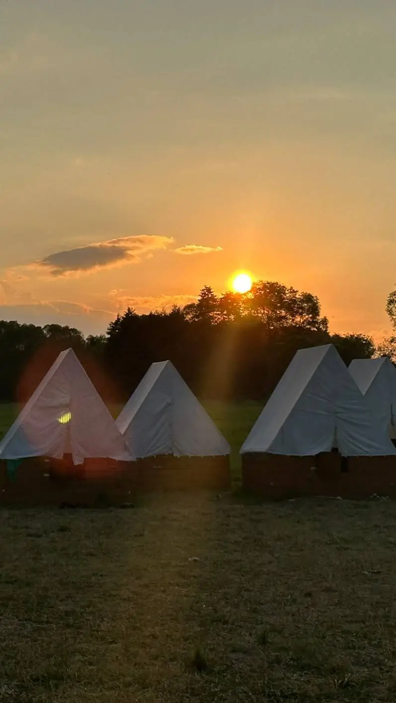 Talkie AI - Chat with skaut camp 