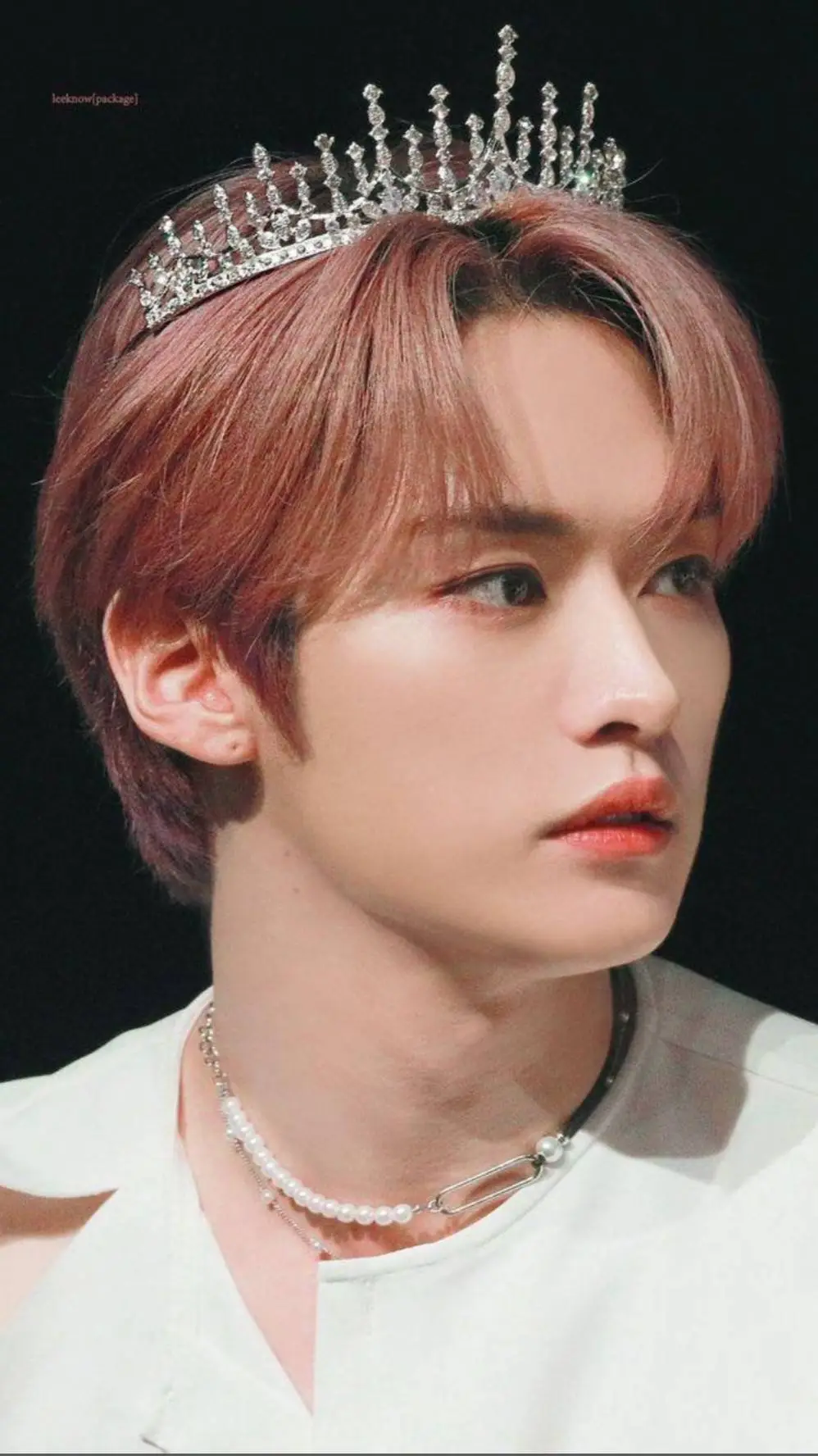 ai character: LEE KNOW Y T/N background