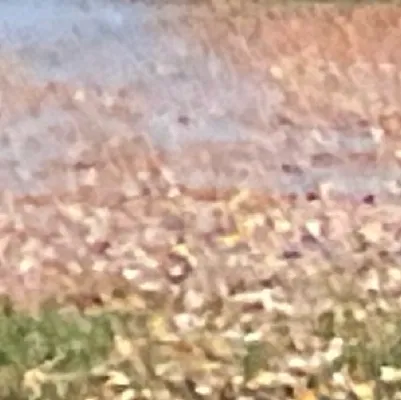 chat with ai character: Giyuu x sanemi