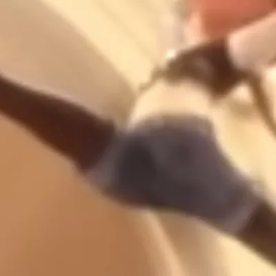 chat with ai character: Schshzbzhool