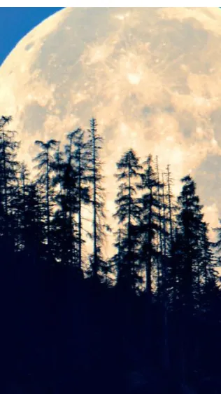 ai character: Mad kitty cat background