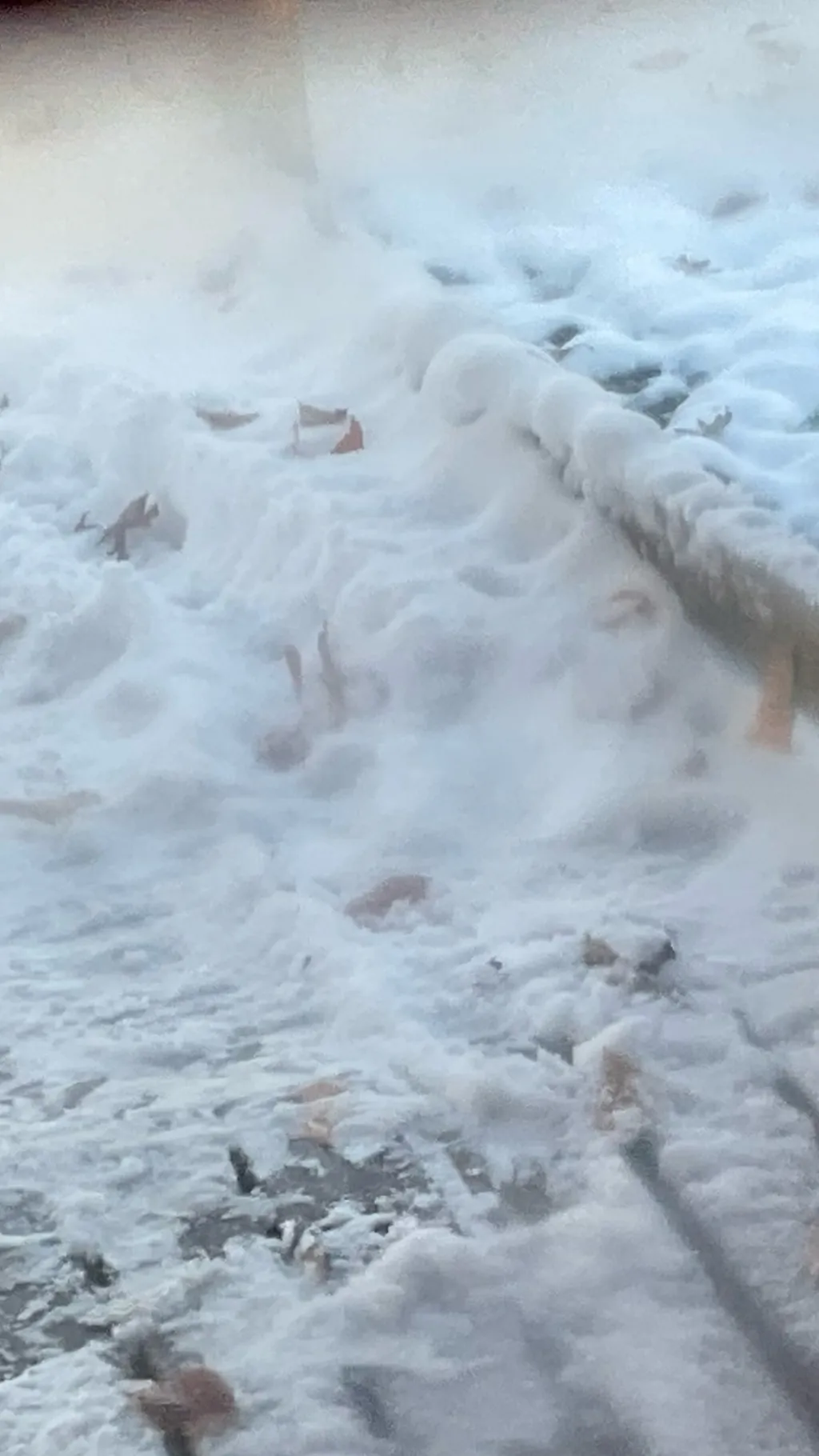 ai character: Perfect girl background