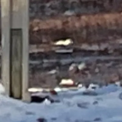 chat with ai character: Bakugo x deku sad