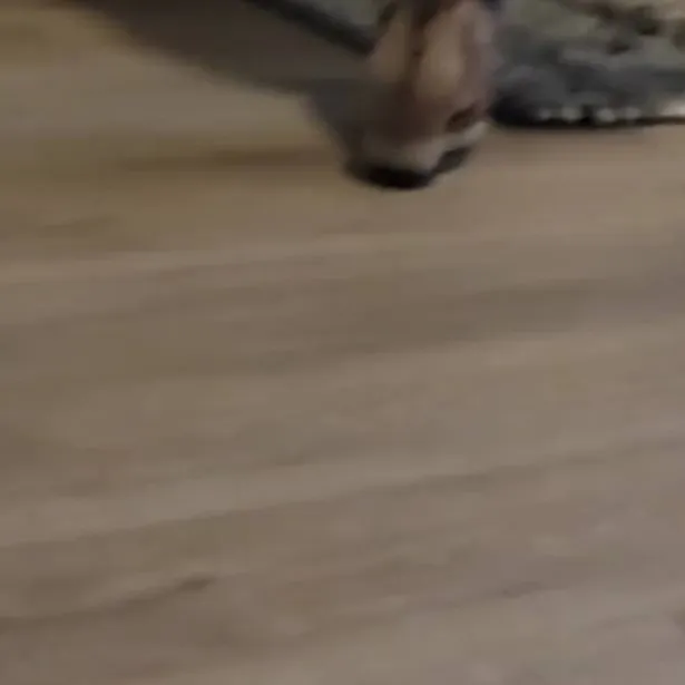 chat with ai character: Nonoping 