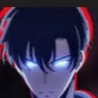 chat with ai character: Solo leveling 