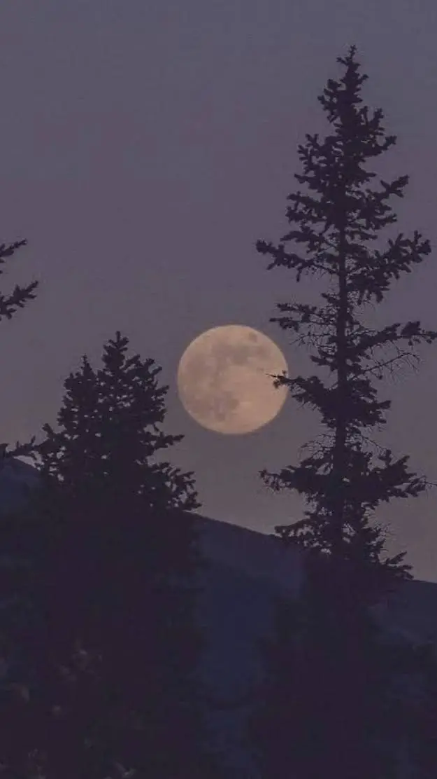 ai character: you start background