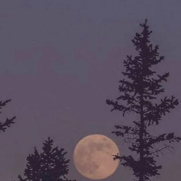 chat with ai character: you start