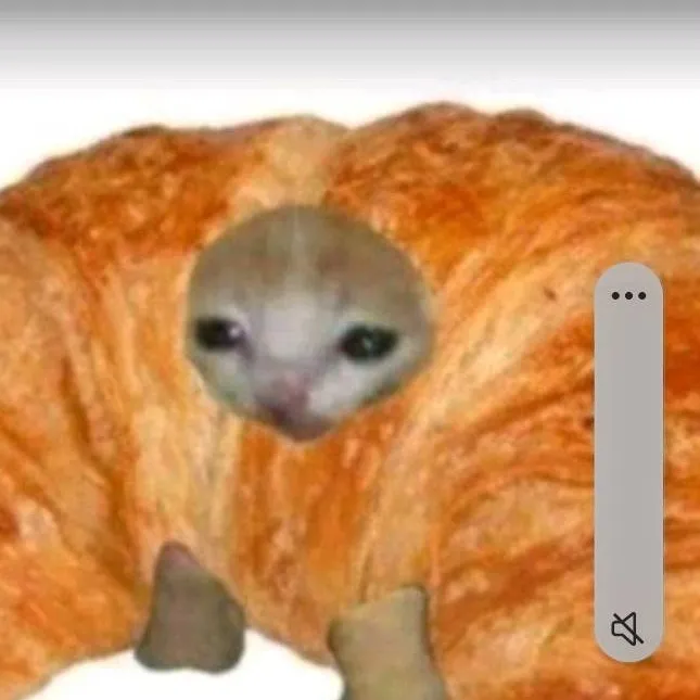 chat with ai character: CAT CROISSANT!