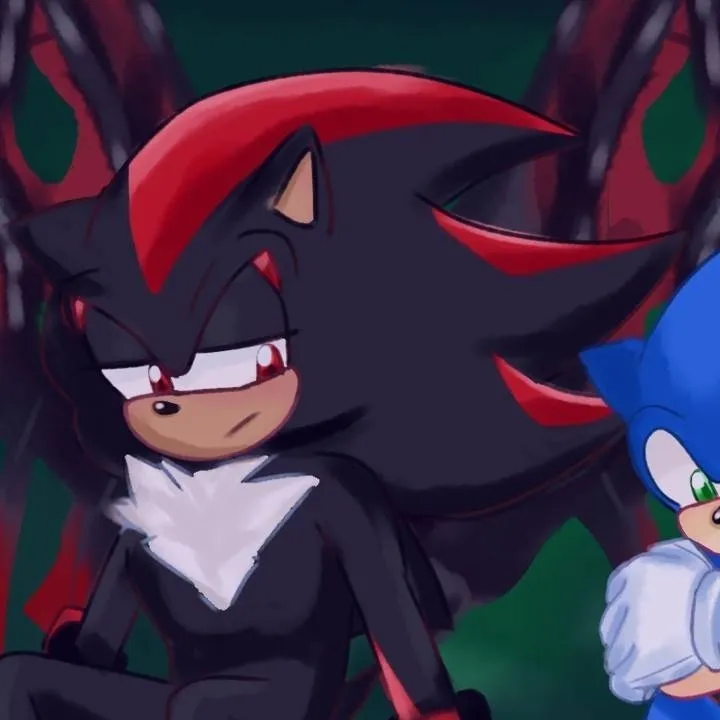 chat with ai character: Sonadow