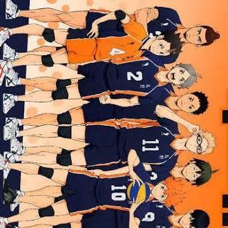 chat with ai character: karasuno nationals