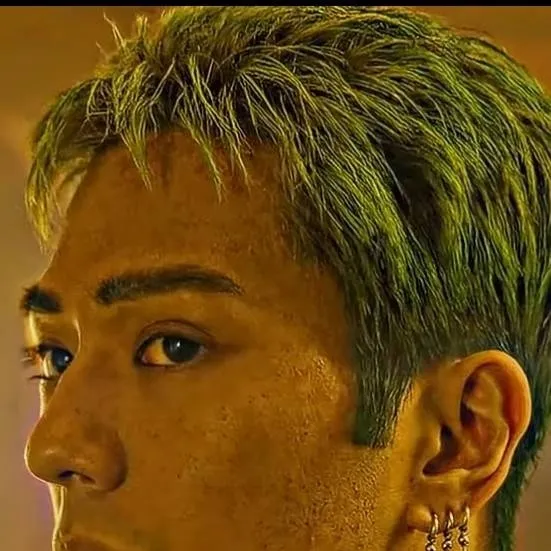 chat with ai character: zoro