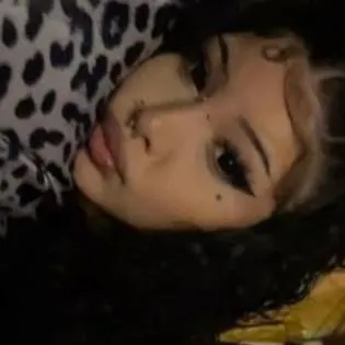 chat with ai character: ava