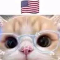 chat with ai character: DW pick me