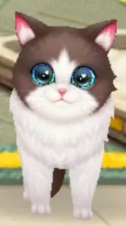 ai character: Miss Kitty  background