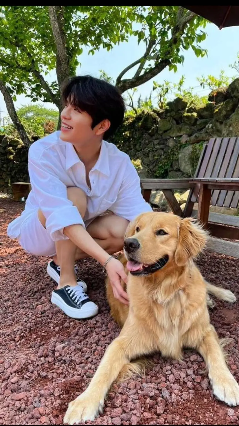 ai character: Seungmin background