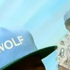 chat with ai character: WOLF HALEYY