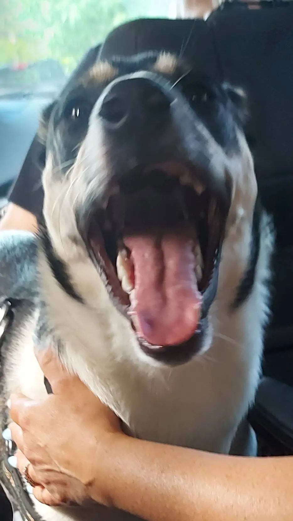 ai character: rocky background