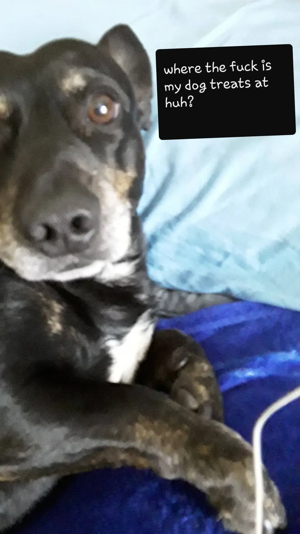 ai character: Buddie background