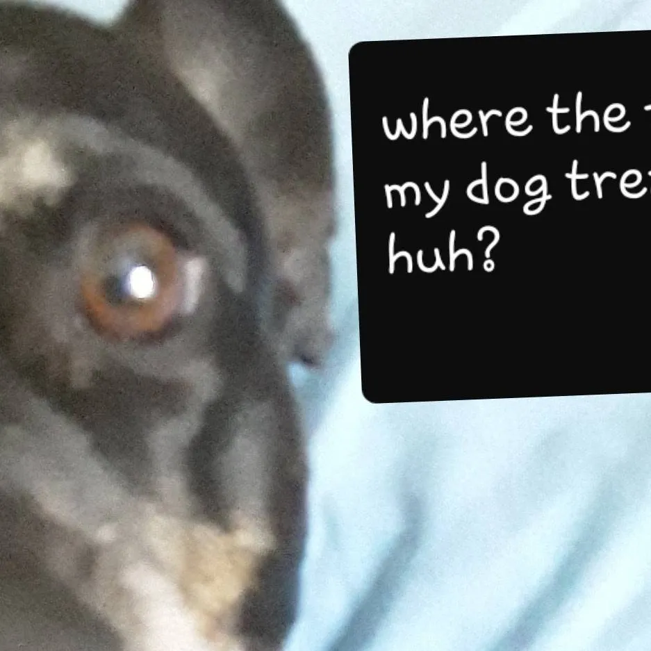 chat with ai character: Buddie