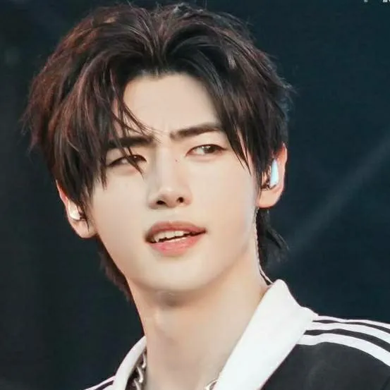 chat with ai character: ☆ Sunghoon ☆