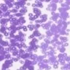 chat with ai character: Doushino 