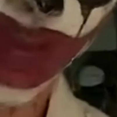 chat with ai character: Brennan