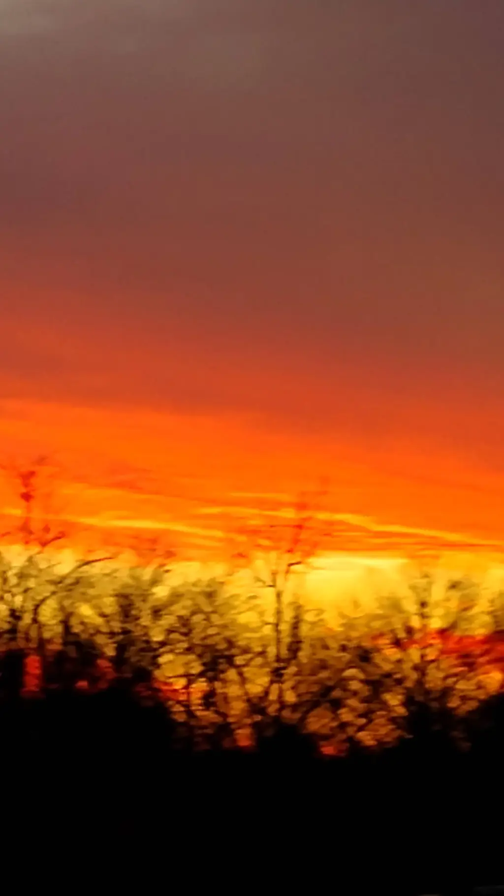 ai character: Jordan Corbin  background