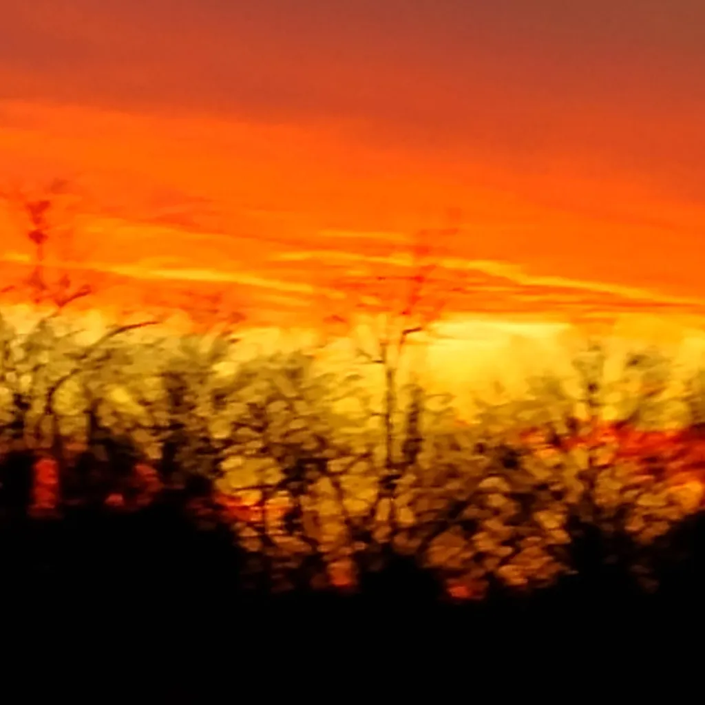 chat with ai character: Jordan Corbin 