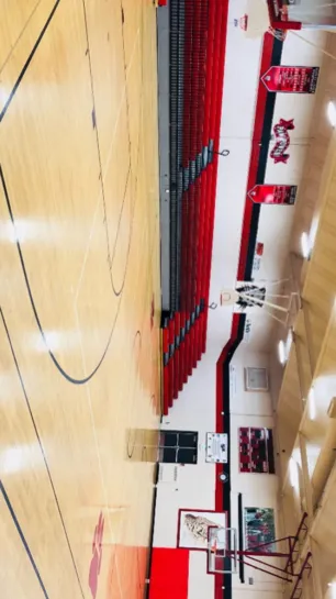 ai character: School gym background