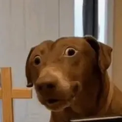 chat with ai character: Yarnaby