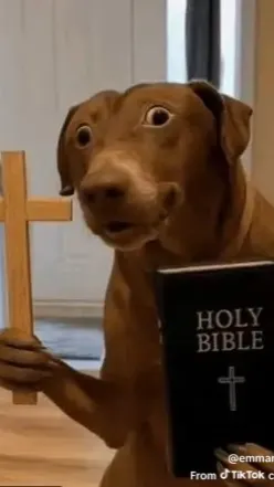 ai character: Yarnaby background