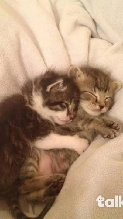 ai character: Nathan ❤️ background