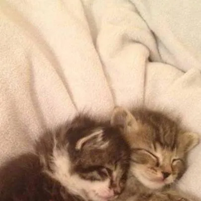 chat with ai character: Nathan ❤️